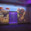 Проекционный дизайн "Виртуальная реальность" базовый комплект 500 анимаций - «globural.ru» - Сыктывкар