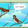 Интерактивное развивающее пособие "Говорящие картинки. Слушаем и повторяем" - «globural.ru» - Сыктывкар