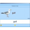 Английский язык. Освоение клавиатуры - «globural.ru» - Сыктывкар