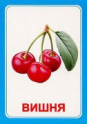 Логопедические карточки и картинки для развития речи - «globural.ru» - Сыктывкар