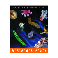Зоология. Микрофотографии. (Цифровая база изображений) - «globural.ru» - Сыктывкар
