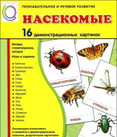 Демонстрационные карточки "Насекомые" - «globural.ru» - Сыктывкар