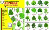 Демонстрационные карточки "Деревья и кустарники" - «globural.ru» - Сыктывкар