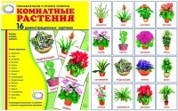 Демонстрационные карточки "Комнатные растения" - «globural.ru» - Сыктывкар