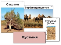 Модель-аппликация "Природные зоны России" - «globural.ru» - Сыктывкар
