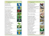 Комплект карточек (10) "Обучающий калейдоскоп. Природа" - «globural.ru» - Сыктывкар