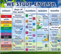 Стенд "We study english" - «globural.ru» - Сыктывкар