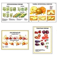 Плакаты ПРОФТЕХ "Ассортимент овощных культур" (12 пл, винил, 70х100) - «globural.ru» - Сыктывкар