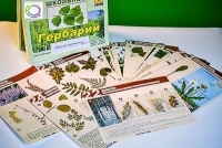 Гербарий к курсу основ общей биологии - «globural.ru» - Сыктывкар
