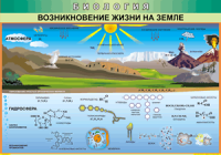Таблица Возникновение жизни на Земле 1000*1400 винил - «globural.ru» - Сыктывкар