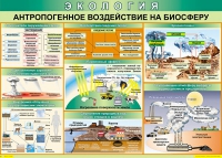 Таблица Антропогенное воздействие на биосферу 1000*700 винил - «globural.ru» - Сыктывкар