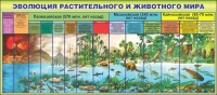 Стенд "Эволюция растительного и животного мира" - «globural.ru» - Сыктывкар