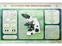 Электрифицированный стенд "Устройство микроскопа и правила работы c ним" - «globural.ru» - Сыктывкар