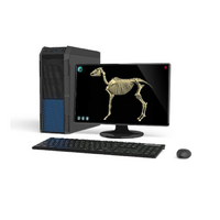 Макет масштабный «Скелет Лошади» Масштаб 1:2 - «globural.ru» - Сыктывкар