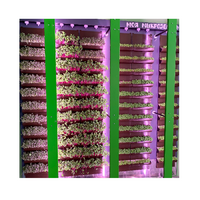 Вертикальная ферма "Моя Микрозелень" комплектация Школьная - «globural.ru» - Сыктывкар