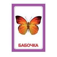 Логопедка "Ч" (логопедические карточки) - «globural.ru» - Сыктывкар