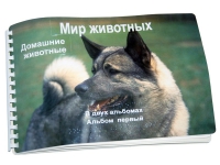 Пособие для слабовидящих "Домашние животные" - «globural.ru» - Сыктывкар