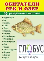 Раздаточные карточки "Обитатели рек и озер" - «globural.ru» - Сыктывкар