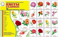 Демонстрационные карточки "Цветы садовые" - «globural.ru» - Сыктывкар