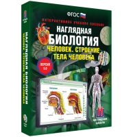 Наглядная биология. Человек. Строение тела человека - «globural.ru» - Сыктывкар