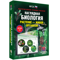 Наглядная биология. Растение - живой организм - «globural.ru» - Сыктывкар