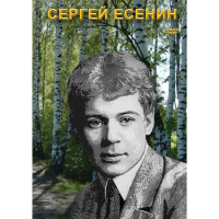 DVD Сергей Есенин - «globural.ru» - Сыктывкар