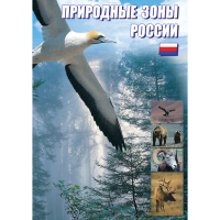DVD Природные зоны России - «globural.ru» - Сыктывкар