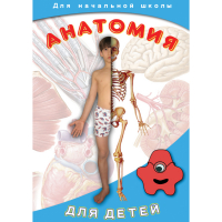 DVD  Анатомия для детей - «globural.ru» - Сыктывкар