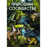 DVD Природные сообщества - «globural.ru» - Сыктывкар