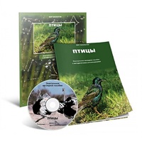 Электронное наглядное пособие «Птицы» - «globural.ru» - Сыктывкар