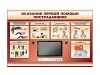Многофункциональный интерактивный стенд-тренажер "Оказание первой помощи пострадавшим" для учащихся общеобразовательных учреждений - «globural.ru» - Сыктывкар