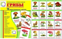 Демонстрационные карточки  "Грибы съедобные и не съедобные" - «globural.ru» - Сыктывкар
