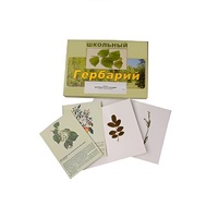 Гербарий "Деревья и кустарники" (22 вида, с иллюстрациями) - «globural.ru» - Сыктывкар