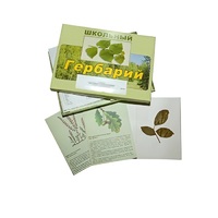 Гербарий "Дикорастущие растения" (30 видов, с иллюстрациями) - «globural.ru» - Сыктывкар