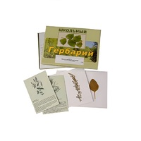 Гербарий "Лекарственные растения" (22 вида, с иллюстрациями) - «globural.ru» - Сыктывкар
