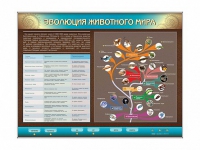 Интерактивный электрифицированный стенд "Эволюция животного мира" - «globural.ru» - Сыктывкар