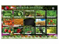 Комплект оборудования "Живой уголок" (растения) - «globural.ru» - Сыктывкар