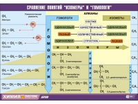 Таблица демонстрационная "Сравнение понятий изомер и гомолог" (винил 70x100) - «globural.ru» - Сыктывкар