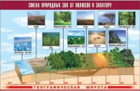 Таблица демонстрационная "Смена природных зон от полюсов к экватору" (винил 70x100) - «globural.ru» - Сыктывкар