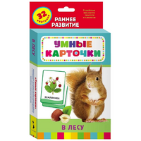 Карточки Домана "В лесу" - «globural.ru» - Сыктывкар