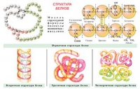 Плакаты и таблицы по общей химии - «globural.ru» - Сыктывкар