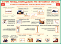  Таблица Общий порядок оказания первой помощи пострадавшим 1000*1400 винил	 - «globural.ru» - Сыктывкар