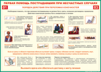 Таблица Порядок действий при переломах конечностей 1000*1400 винил - «globural.ru» - Сыктывкар