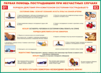 Таблица Порядок действий при коматозном состоянии пострадавшего 1000*1400 винил - «globural.ru» - Сыктывкар
