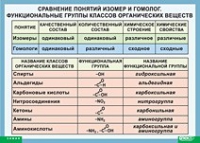Химия. Сравнение понятий изомер и гомолог. Функциональные группы классов органических веществ (винил) - «globural.ru» - Сыктывкар