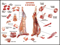 Правила разделки мясных туш "Баранина и ягнятина" 1000*1400 винил - «globural.ru» - Сыктывкар