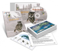 Комбинированное наглядное пособие «Животные» - «globural.ru» - Сыктывкар