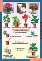 Окружающий мир 1 класс (комплект таблиц) - «globural.ru» - Сыктывкар