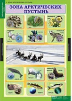 Окружающий мир 4 класс (комплект таблиц) - «globural.ru» - Сыктывкар