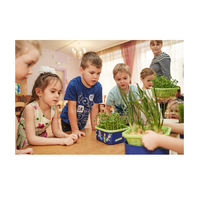 Обучающий комплект экологической направленности "Сити-фермер 2.0 Детский сад" 10 человек - «globural.ru» - Сыктывкар
